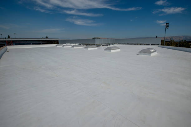Best Asphalt Shingles Roofing  in Wyanet, IL