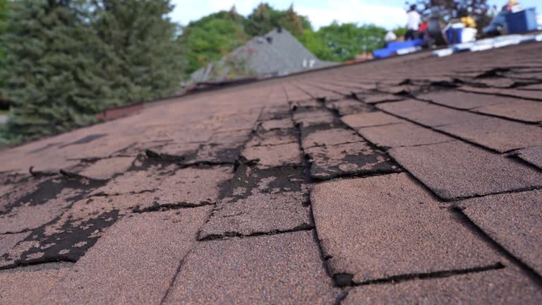 Best Hot Roofs  in Wyanet, IL