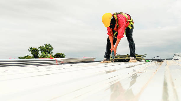 Best Roof Insulation Installation  in Wyanet, IL