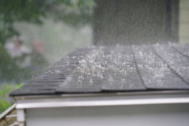 Best Roof Ventilation Installation  in Wyanet, IL