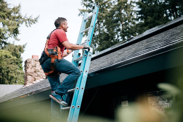 Best Roof Maintenance and Cleaning  in Wyanet, IL